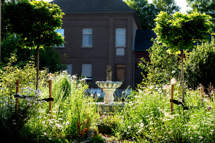 Beschreibung Garten02.jpg Beschreibung Garten02.jpg
