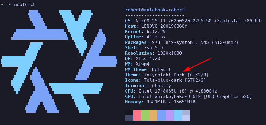 Neofetch Screenshot mit Tokyonight Theme