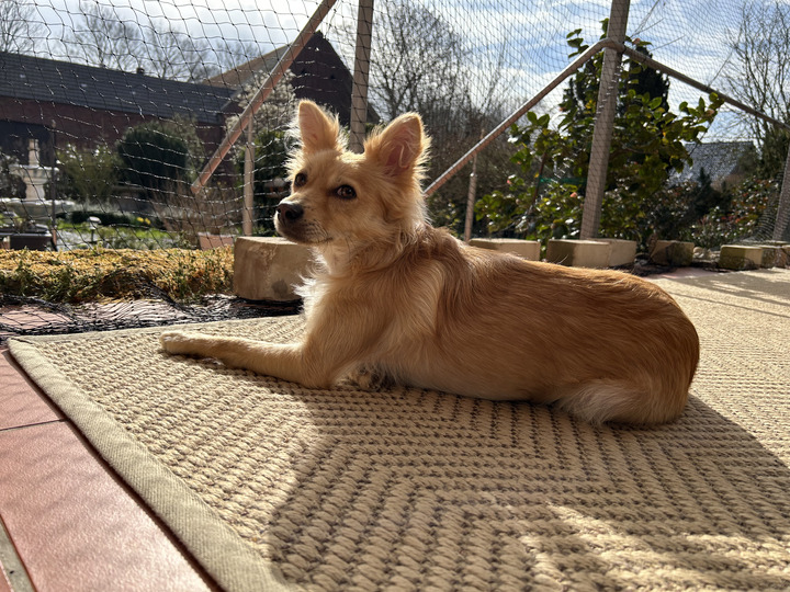 Toby Sonne